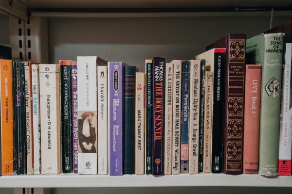 The Literacy Gap: How De-funding Humanities Fuels Political Polarization